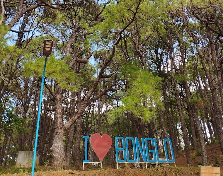Talaay Pines Forest - campgrounds in Abra