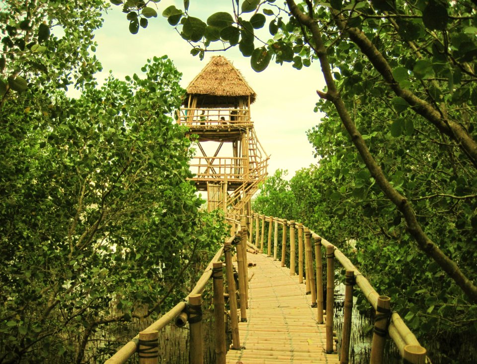 Balaring Mangrove Park