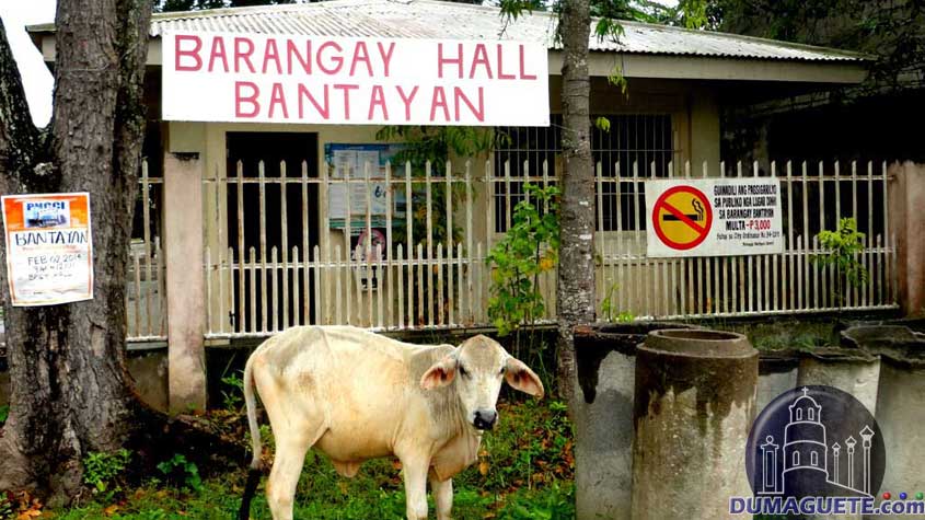 Barangay Bantayan