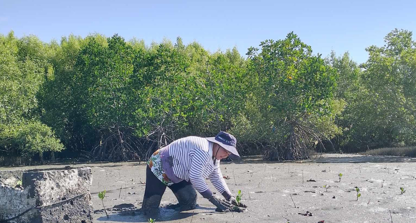 Ikaw-Ako Dapdap Mangrove Reforestation Project